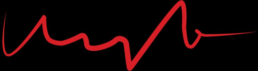 Macy Lee's signature